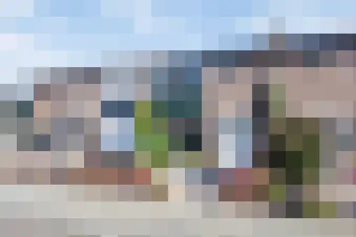 De Vriesstraat 30 Elst thumbnail 4