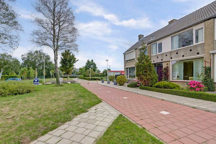 De Vroon 3 in Heenvliet foto