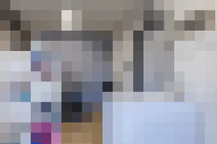 De Vucht 56 Rijen thumbnail 11
