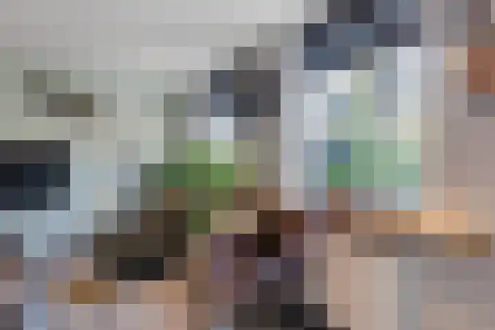 De Vucht 56 Rijen thumbnail 20