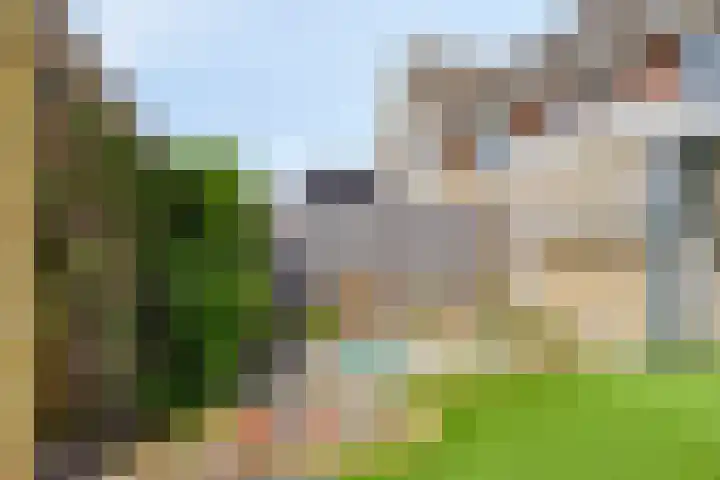 De Vucht 56 Rijen thumbnail 27