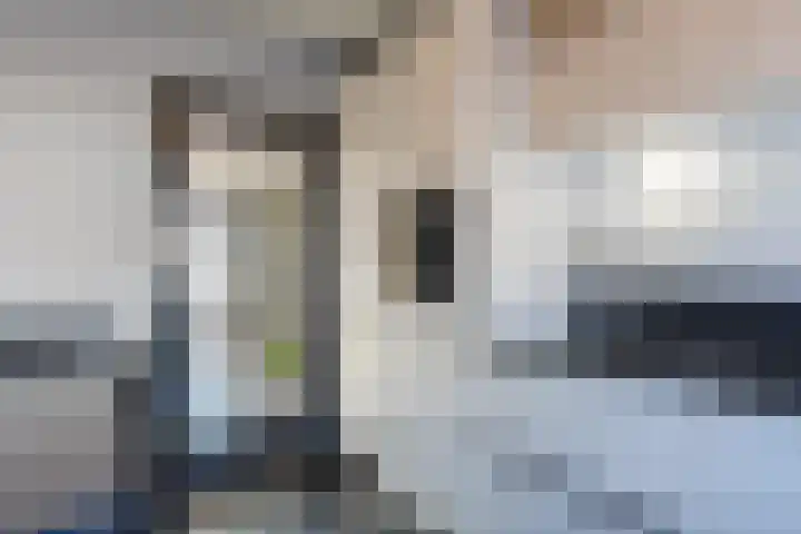 De Vucht 56 Rijen thumbnail 29