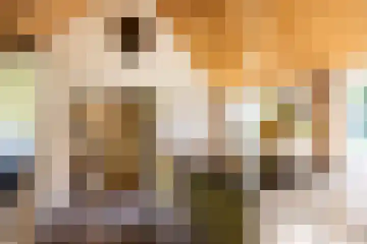 De Vucht 56 Rijen thumbnail 31