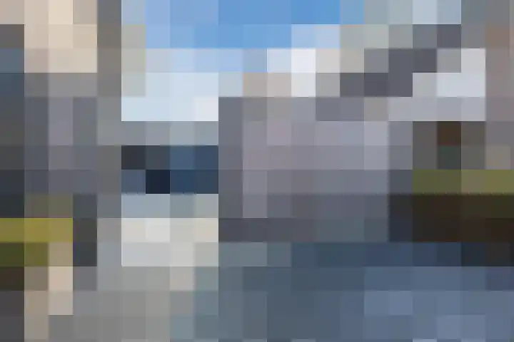 De Vucht 56 Rijen thumbnail 38