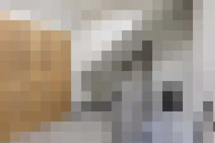 De Vucht 56 Rijen thumbnail 39