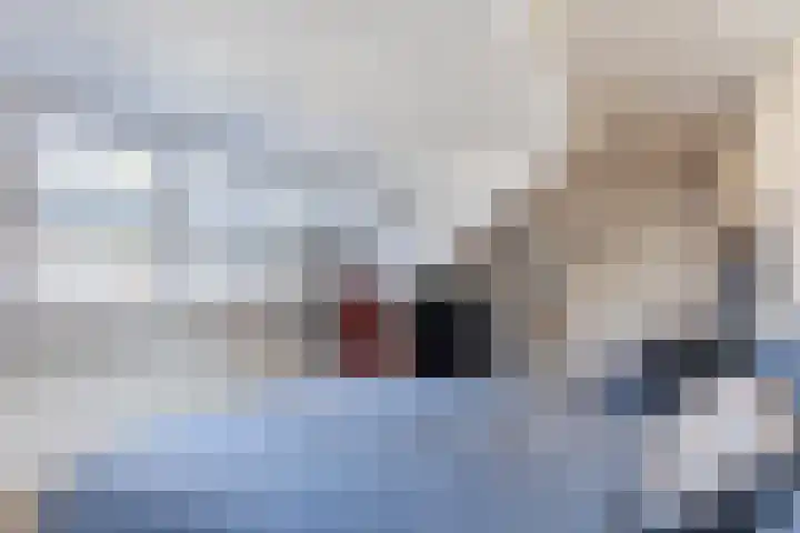 De Vucht 56 Rijen thumbnail 42