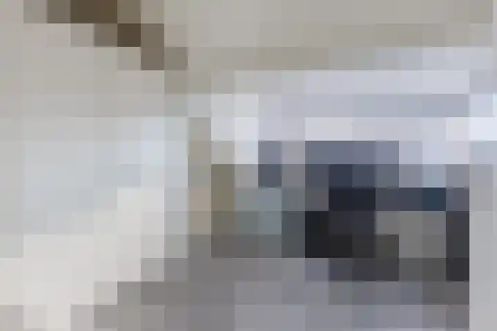 De Vucht 56 Rijen thumbnail 44