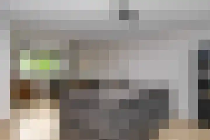 De Vucht 56 Rijen thumbnail 5