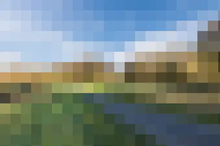 De Vucht 56 Rijen thumbnail 56