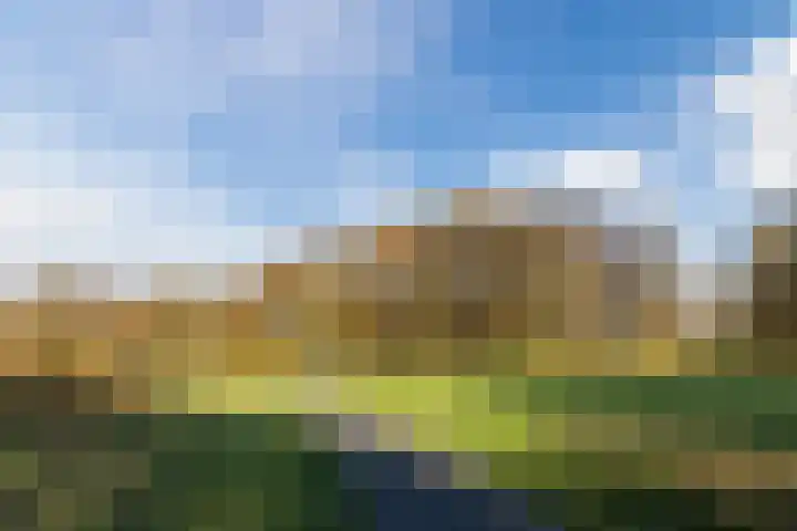 De Vucht 56 Rijen thumbnail 57