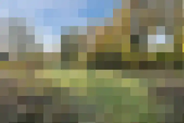 De Vucht 56 Rijen thumbnail 58