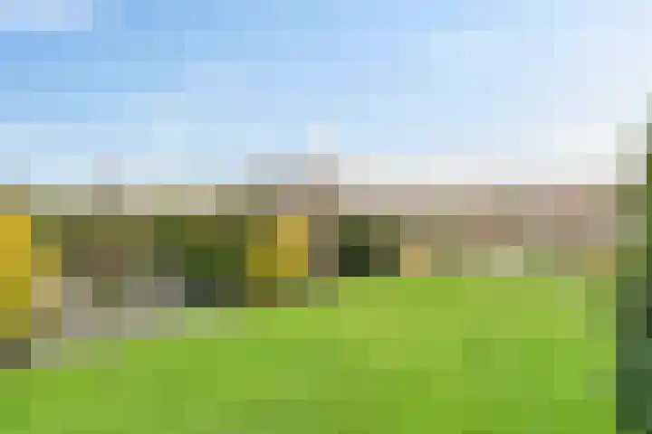 De Vucht 56 Rijen thumbnail 61