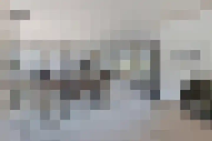 De Vutter 3 's-Hertogenbosch thumbnail 10