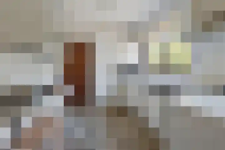 De Vutter 3 's-Hertogenbosch thumbnail 14