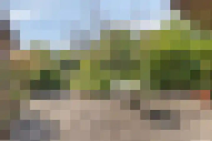 De Vutter 3 's-Hertogenbosch thumbnail 16