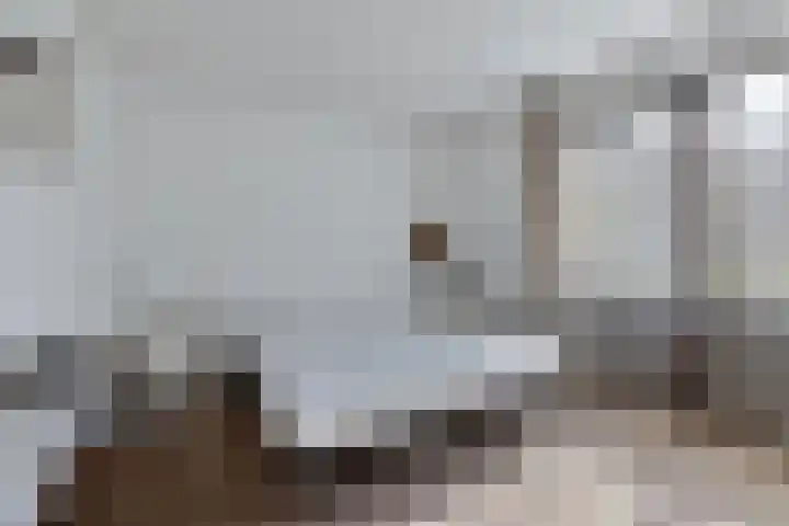 De Vutter 3 's-Hertogenbosch thumbnail 22