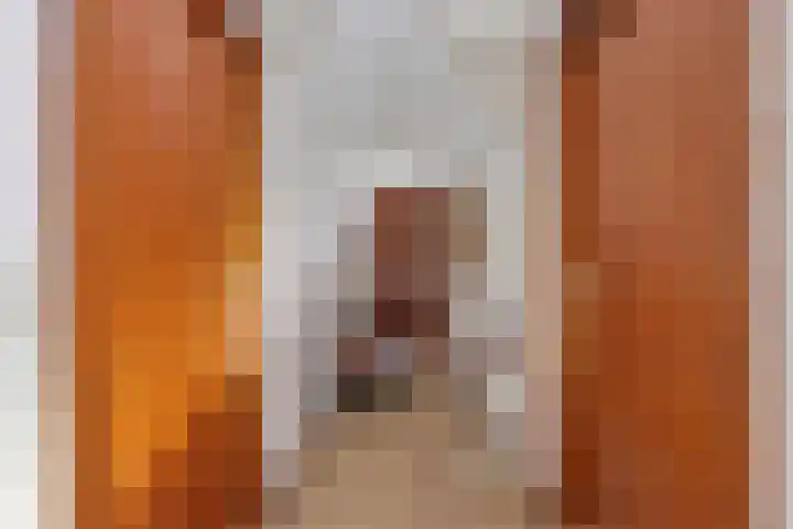 De Vutter 3 's-Hertogenbosch thumbnail 27