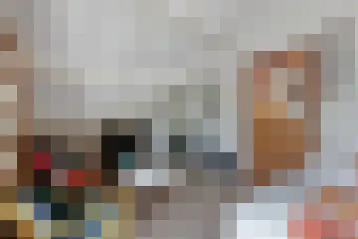 De Vutter 3 's-Hertogenbosch thumbnail 28