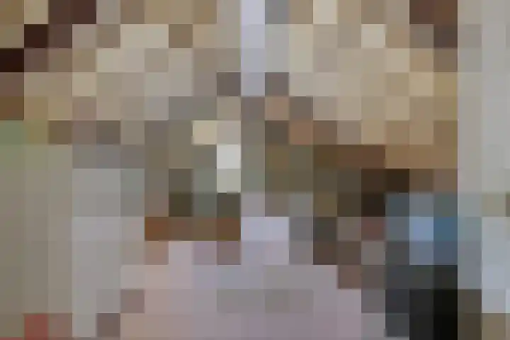 De Vutter 3 's-Hertogenbosch thumbnail 30