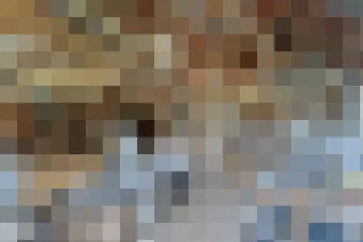De Vutter 3 's-Hertogenbosch thumbnail 33