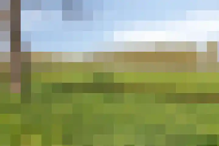 De Vutter 3 's-Hertogenbosch thumbnail 34