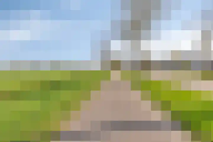 De Vutter 3 's-Hertogenbosch thumbnail 35