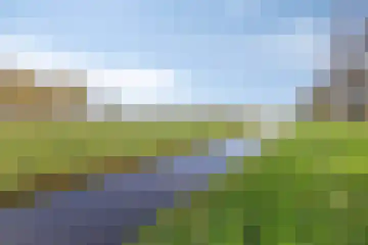 De Vutter 3 's-Hertogenbosch thumbnail 36