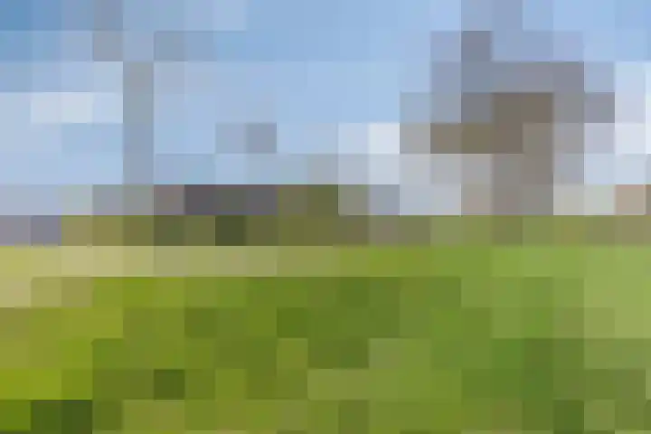 De Vutter 3 's-Hertogenbosch thumbnail 38