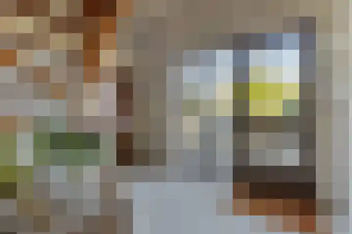 De Vutter 3 's-Hertogenbosch thumbnail 5