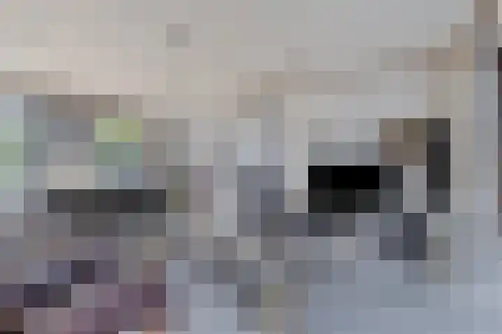 De Vutter 3 's-Hertogenbosch thumbnail 7