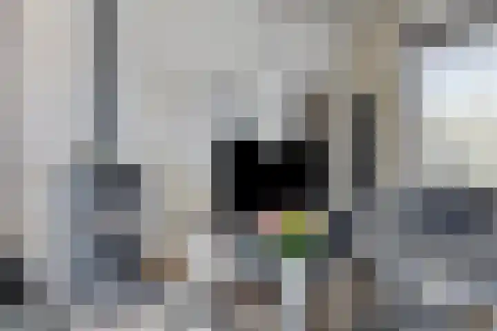 De Vutter 3 's-Hertogenbosch thumbnail 8