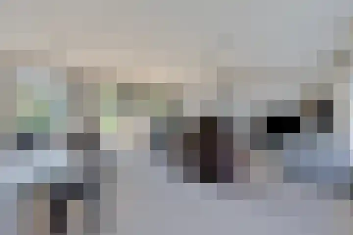 De Vutter 3 's-Hertogenbosch thumbnail 9