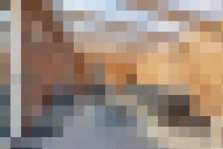 De Vuurjuffer 11 Eelderwolde thumbnail 13