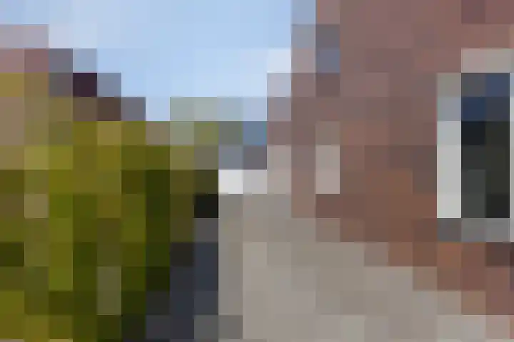 De Vuurjuffer 11 Eelderwolde thumbnail 25