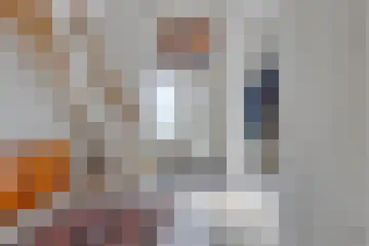 De Vuurjuffer 11 Eelderwolde thumbnail 27