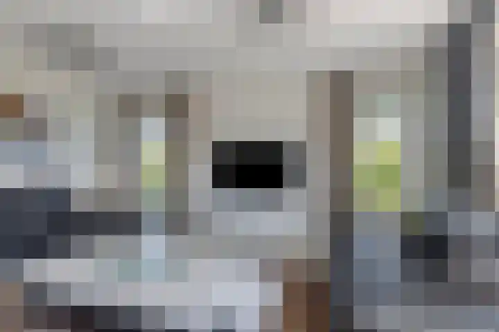De Vuurjuffer 11 Eelderwolde thumbnail 33