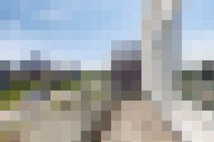 De Vuurjuffer 11 Eelderwolde thumbnail 56