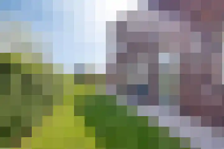 De Vuurjuffer 11 Eelderwolde thumbnail 70