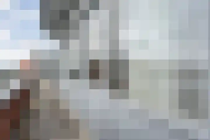 de Waag 54 Raalte thumbnail 29