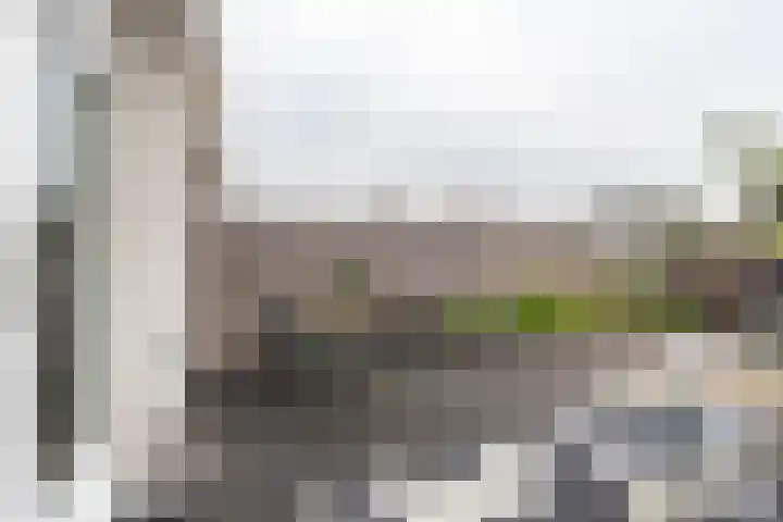 De Waard 134 Groningen thumbnail 26
