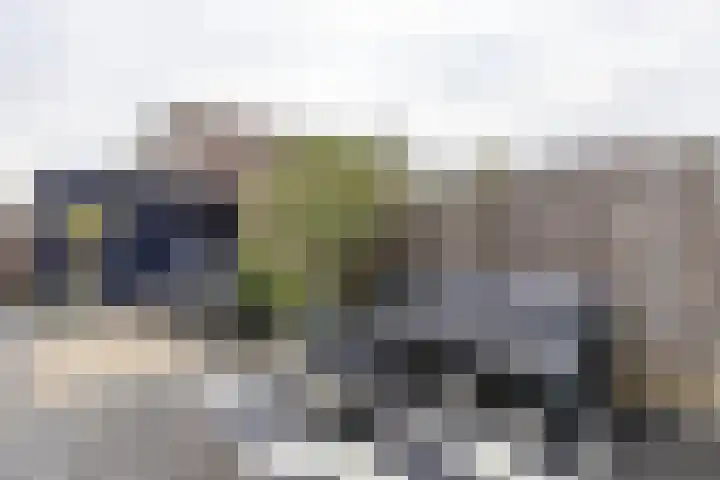 De Waard 134 Groningen thumbnail 27