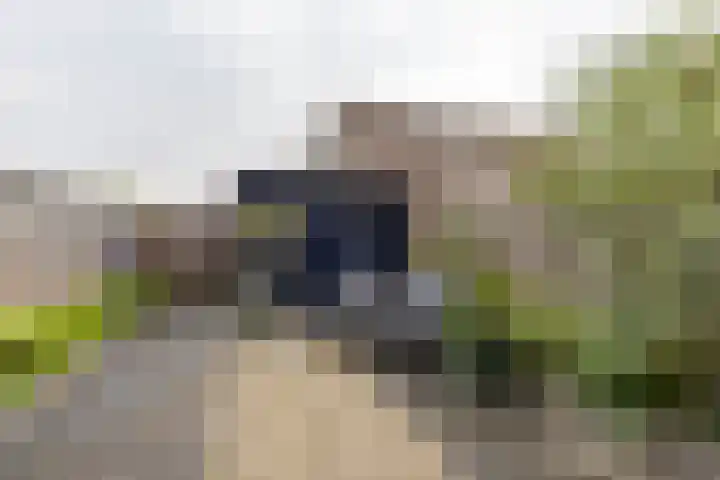 De Waard 134 Groningen thumbnail 28