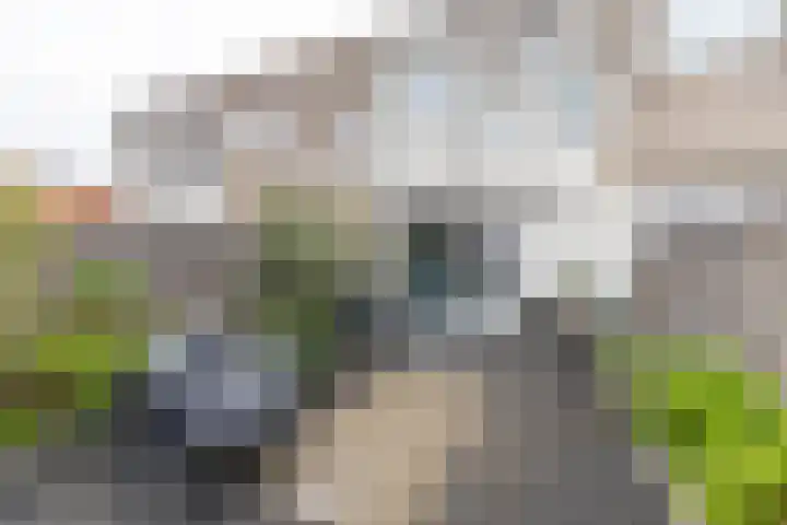 De Waard 134 Groningen thumbnail 29
