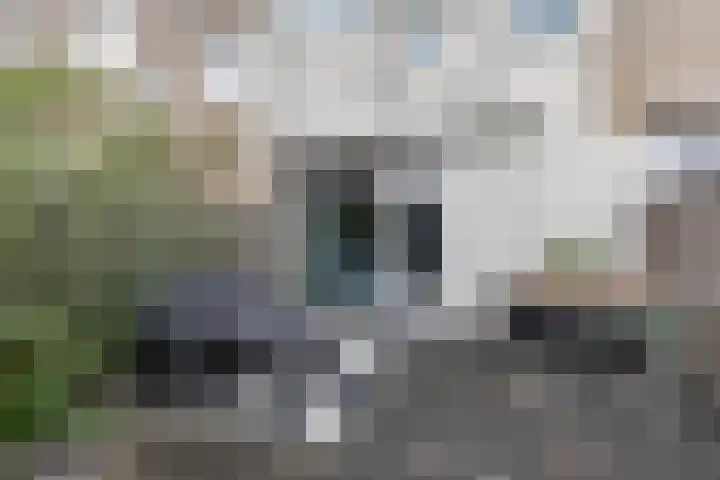 De Waard 134 Groningen thumbnail 30