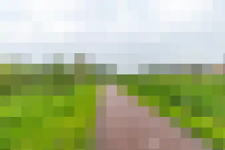 De Waard 134 Groningen thumbnail 32