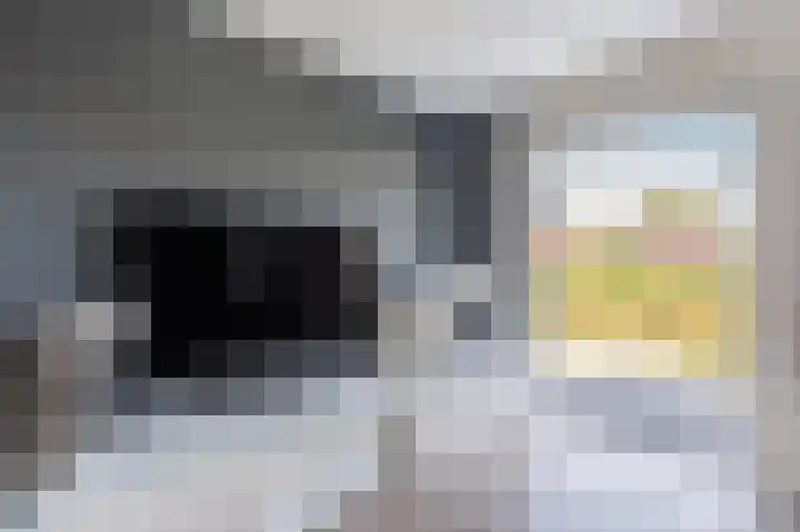 De Waard 155 Groningen thumbnail 10