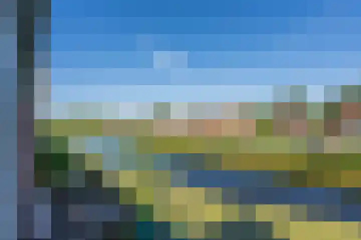 De Waard 155 Groningen thumbnail 22