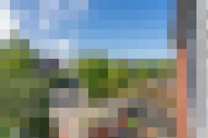 De Waard 155 Groningen thumbnail 28