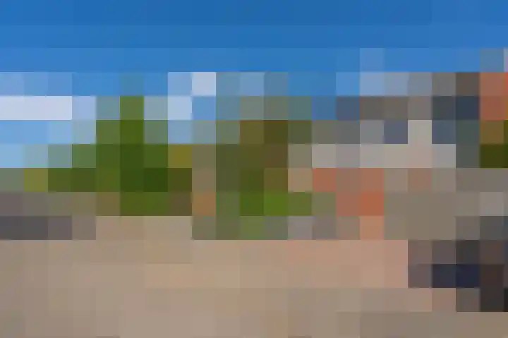 De Waard 155 Groningen thumbnail 33
