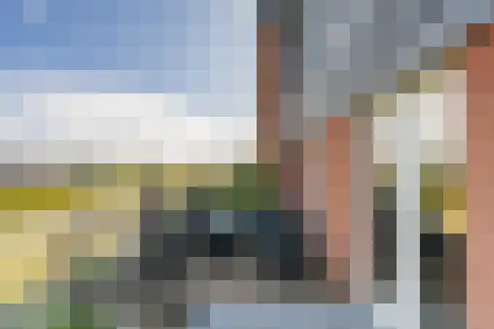 De Waard 155 Groningen thumbnail 43